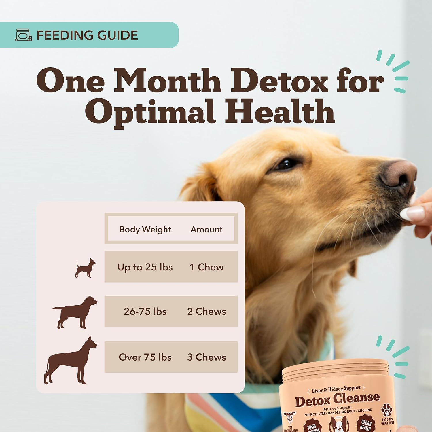Suplemento Hepático y Renal para Perros – 90 Masticables Blandos con Cardo Mariano, Arándano Rojo, Diente de León, Cúrcuma y Astrágalo