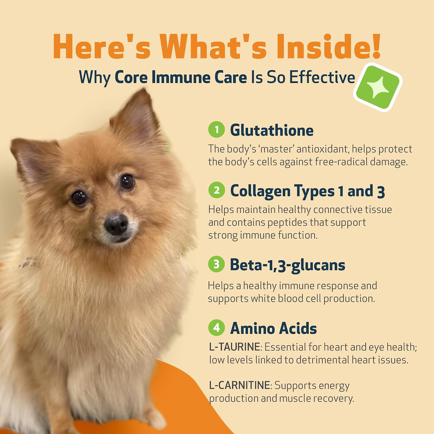 Pet Wellbeing Core Immune Care para Perros - Antioxidante Diario en Polvo (105 g)