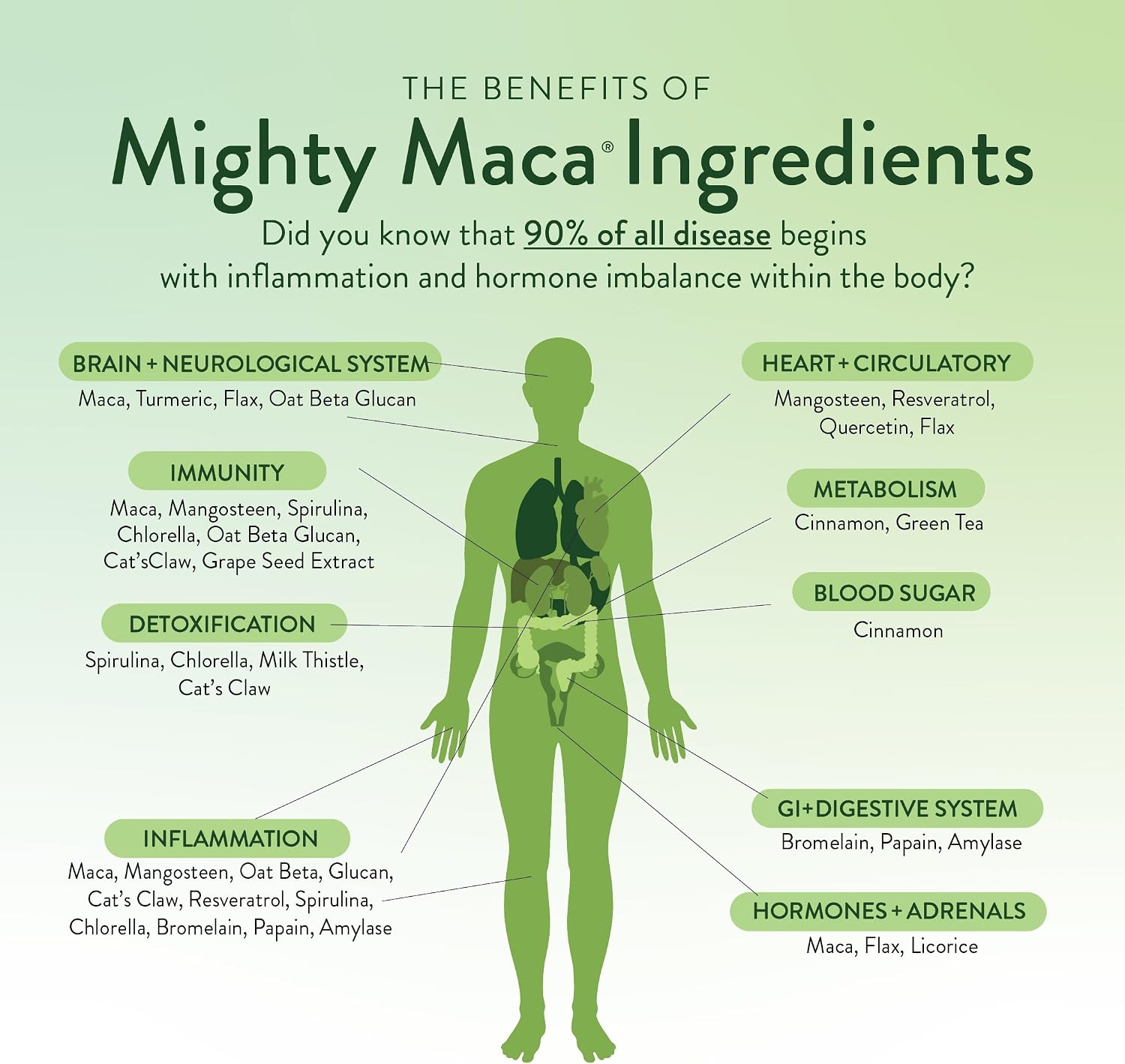 VIDAPURA Mighty Maca Plus – Superalimento Verde en Polvo Orgánico (60 raciones)
