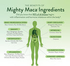 VIDAPURA Mighty Maca Plus Mango – Superfood Greens en Polvo