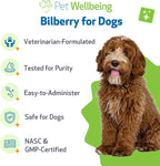 Pet Wellbeing Arándano (Bilberry) para Perros – 60 ml – Suplemento Líquido para la Visión y Salud Ocular