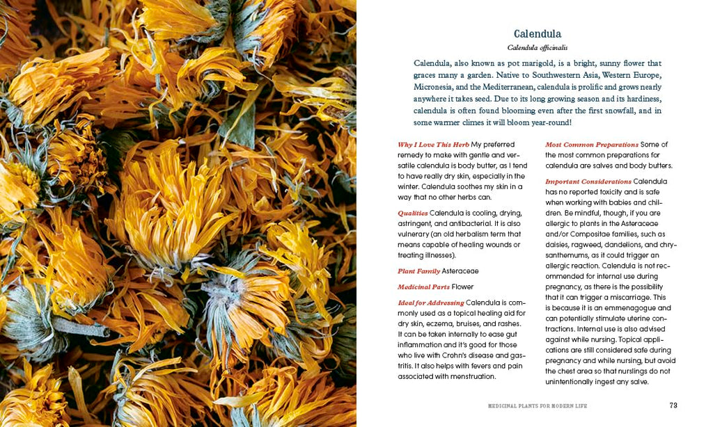 Herbal Medicine for Modern Life: Traditional Folk Remedies for Everyday Health and Well-Being