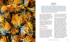 Herbal Medicine for Modern Life: Traditional Folk Remedies for Everyday Health and Well-Being