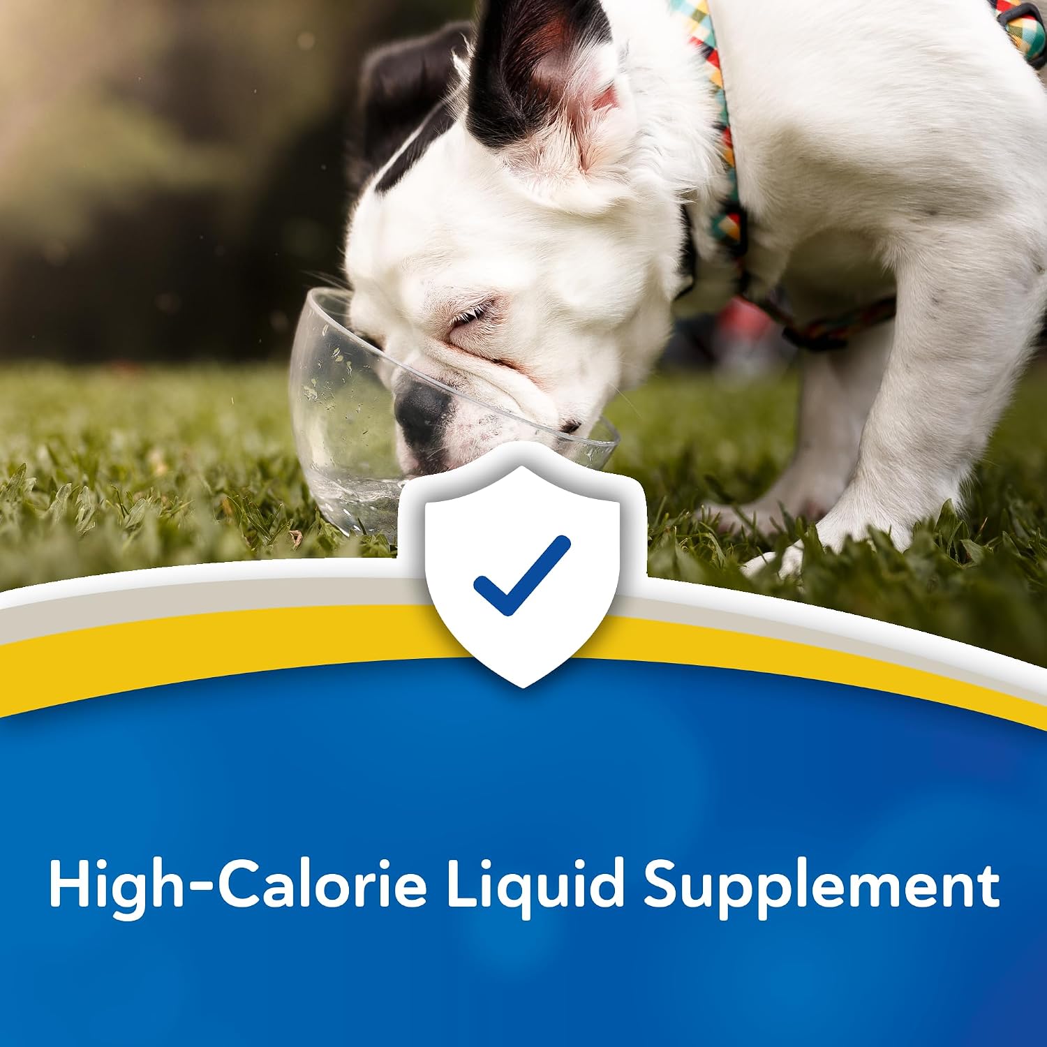 Doc Roy's Forti Cal Líquido - Suplemento Energético de Alto Contenido Calórico para Perros, Gatos, Caballos y Ganado, 1 Galón