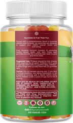 Natures Craft Gomitas Multivitamínicas para Niños a Base de Plantas | 120 Gomitas