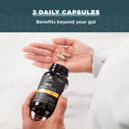 Ancient Nutrition Probióticos SBO Gut Restore, 60 Cápsulas