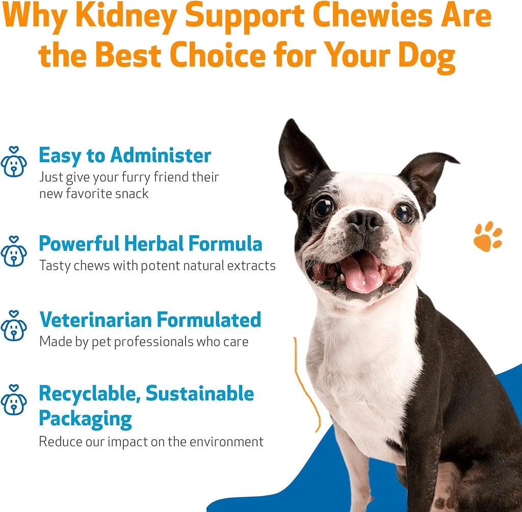Pet Wellbeing Kidney Support Chewies para Perros - Apoyo Renal - 90 Masticables Blandas