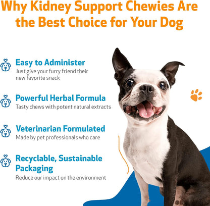 Pet Wellbeing Kidney Support Chewies para Perros - Apoyo Renal - 90 Masticables Blandas – Image 4