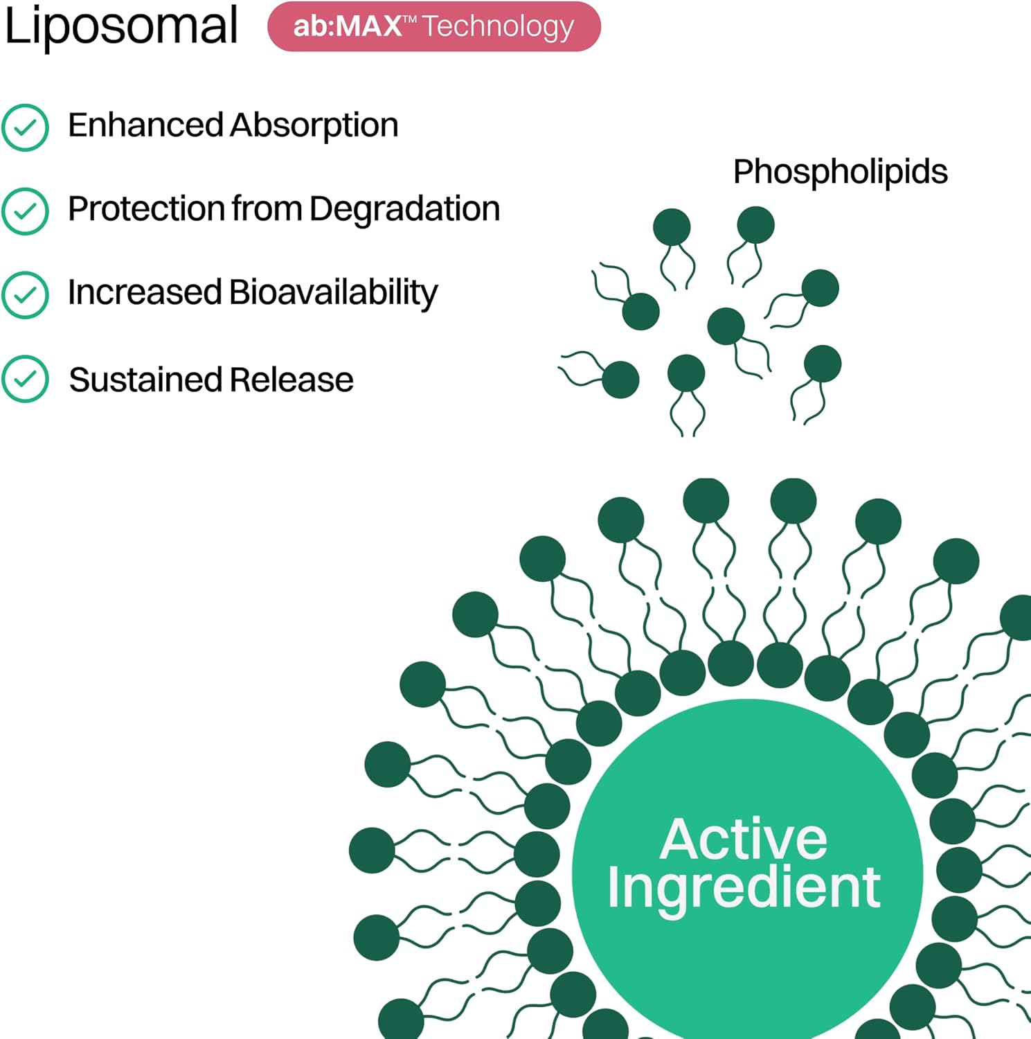 Haroutine Gominolas de Biotina Liposomal para Cabello, Piel y Uñas, 2500 μg, con Vitamina A y E, Sabor Frambuesa Rosa, 30 Unidades