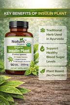 Naturfi Organic Cápsulas de Planta de Insulina (Costus Igneus), USDA Orgánico | Suplemento 100% Natural, 90 Cápsulas Vegetales (1 Mes)