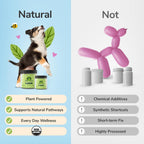 kin+kind Suplemento para la Piel y el Pelaje de Perros y Gatos – Vitaminas Naturales con Ingredientes Orgánicos – 3x8 oz