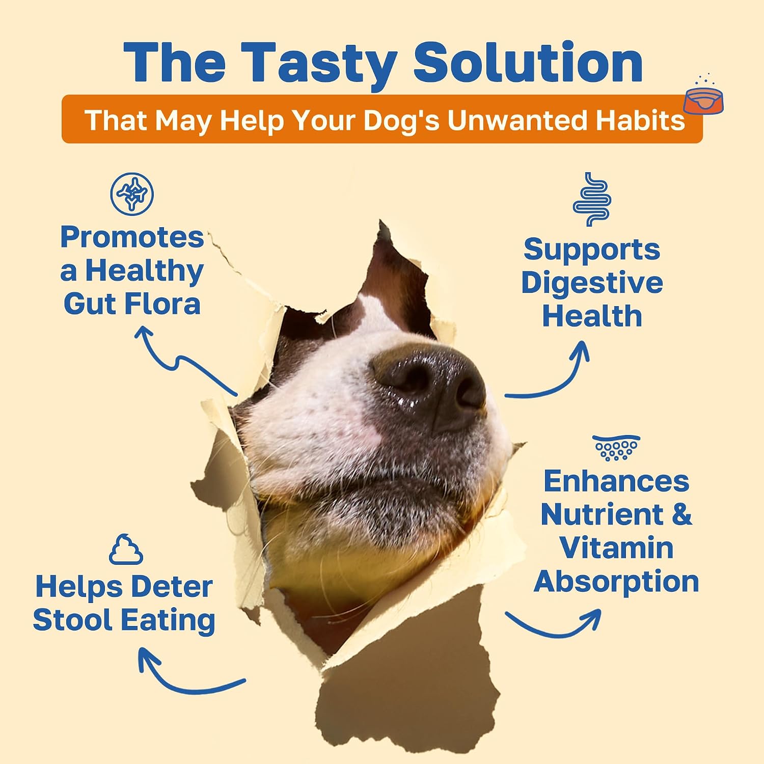Happy Paws No Poo Chews para Perros – Disuasivo de Coprofagia con Probióticos, Calabaza y Enzimas – Orgánico, Vegano, Sabor a Carne – 200 unidades