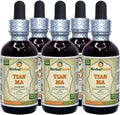 Extracto Líquido de Tian Ma (Gastrodia Elata) - Tintura de Tubérculo Seco - 5x60 ml