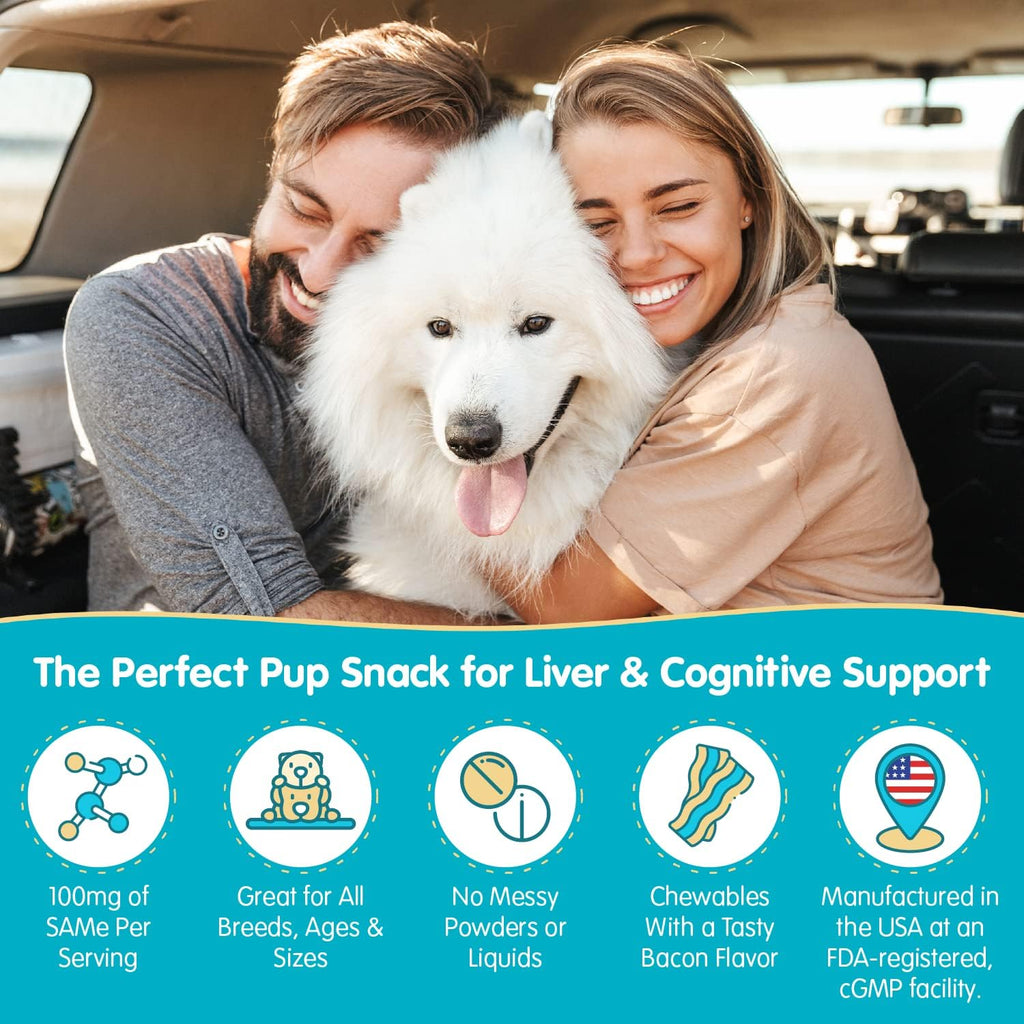 Pawsitive SAMe 100 mg para Perros – Complemento Hepático con S-Adenosilmetionina – Sabor a Bacon – 30 Comprimibles