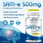 Sam e 500mg Complemento de Metionina para Hígado, Articulaciones, Cerebro y Estado de Ánimo, Alta Absorción SAM-e (S Adenosil Metionina), Vegano, Sin Gluten, No-GMO - Fabricado en EE.UU., 60 Cápsulas (Paquete de 2)