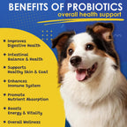 Probióticos para Perros SHINEPAWS - Salud Digestiva, Prebióticos, Enzimas, Fibra y Omega-3, 120 Masticables