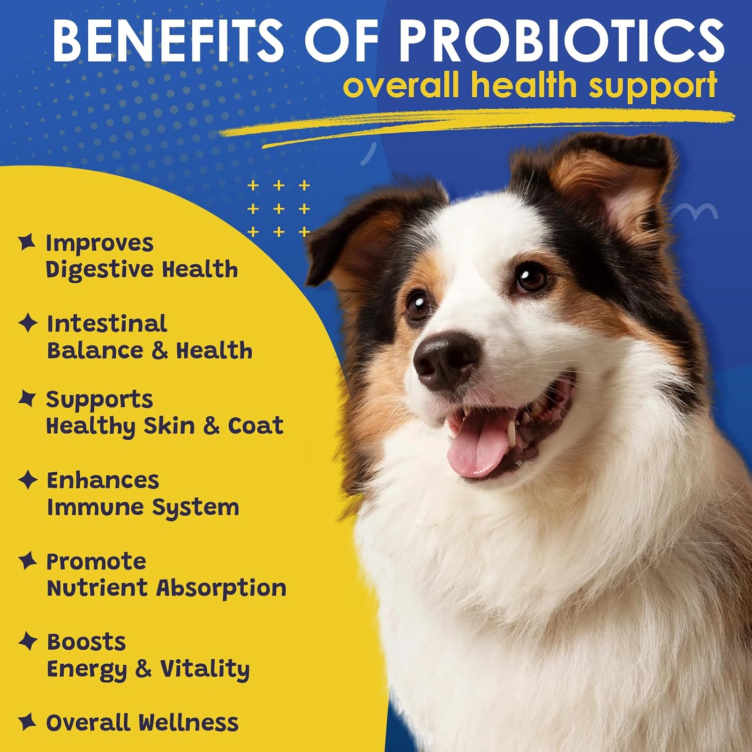 Probióticos para Perros SHINEPAWS - Salud Digestiva, Prebióticos, Enzimas, Fibra y Omega-3, 120 Masticables
