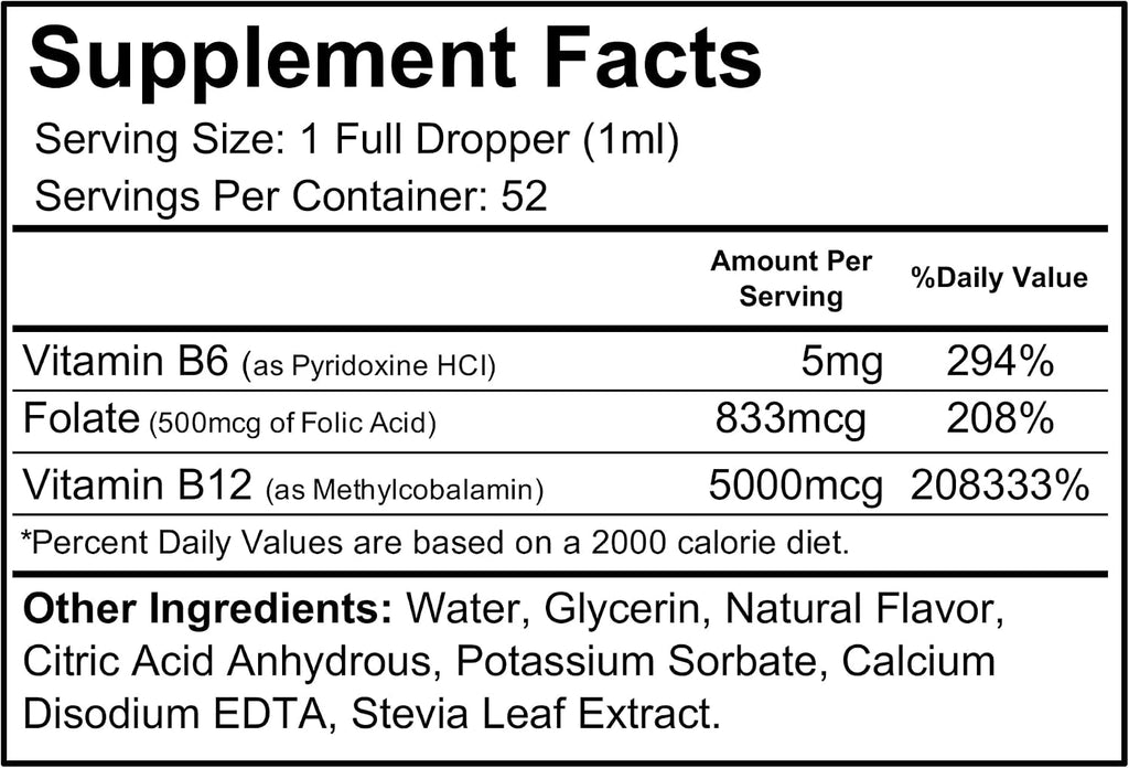 Wellgenix B12 Max Líquido - Vitamina B6, B12 y Folato - Alta Absorción - Salud Cardiovascular, Claridad Mental, Aumento de Energía y Pérdida de Peso - 1,75 oz, 2 Pack
