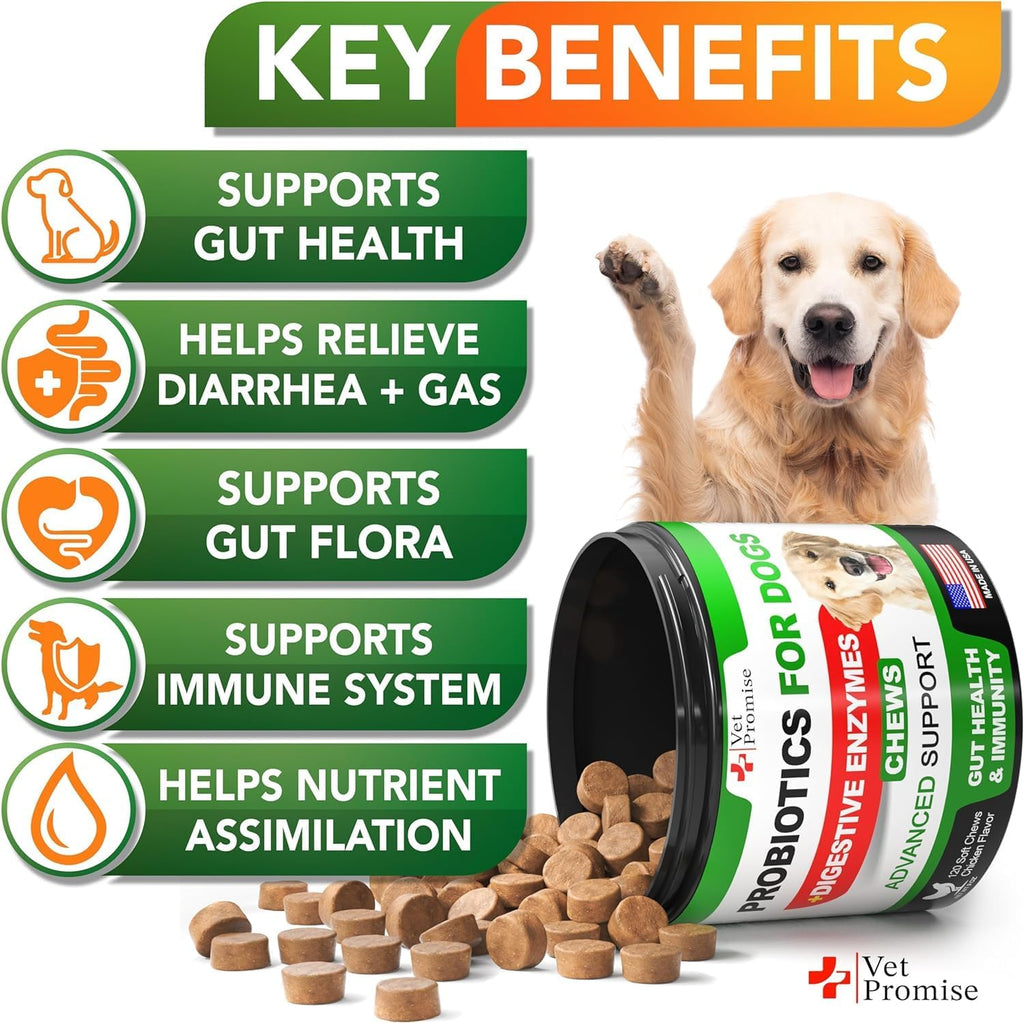 Probióticos para Perros con Enzimas Digestivas - 240 Masticables (2 Paquetes)