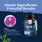 DHEA 25 mg - 120 Cápsulas - Suplemento de Dehidroepiandrosterona para Hombres y Mujeres