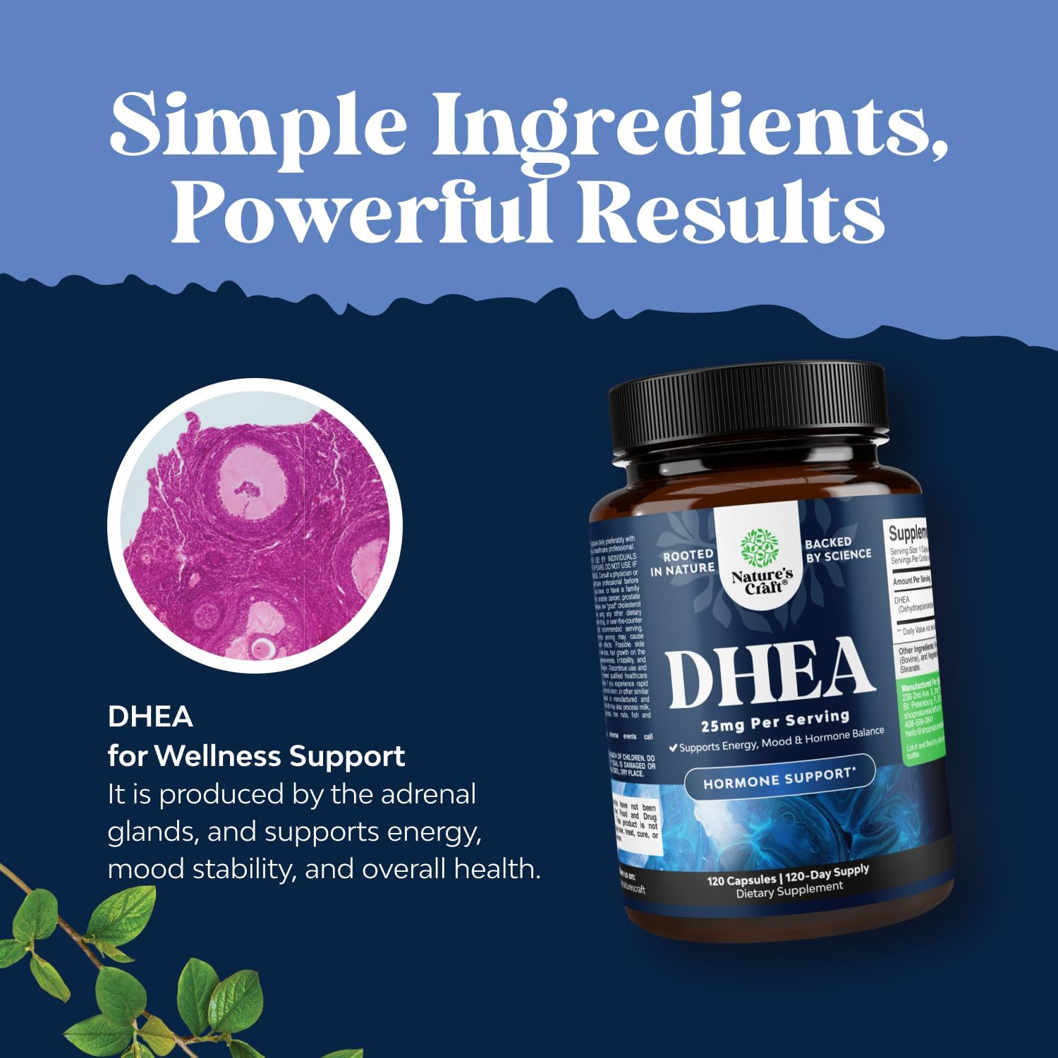 DHEA 25 mg - 120 Cápsulas - Suplemento de Dehidroepiandrosterona para Hombres y Mujeres