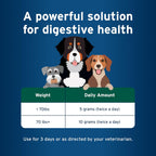 Pet Protect Probiótico Balance+ Oral Gel para Perros, Fórmula Endurosyn, Sabor Pollo, 32g