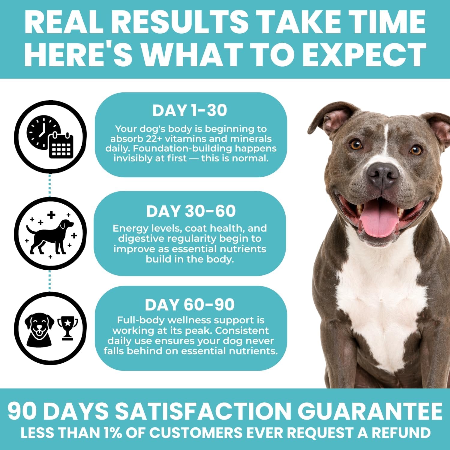 TRATEZ Multivitamínico para Perros 25-en-1 - Chews Blandos con Vitaminas y Minerales Esenciales, 60 Unidades