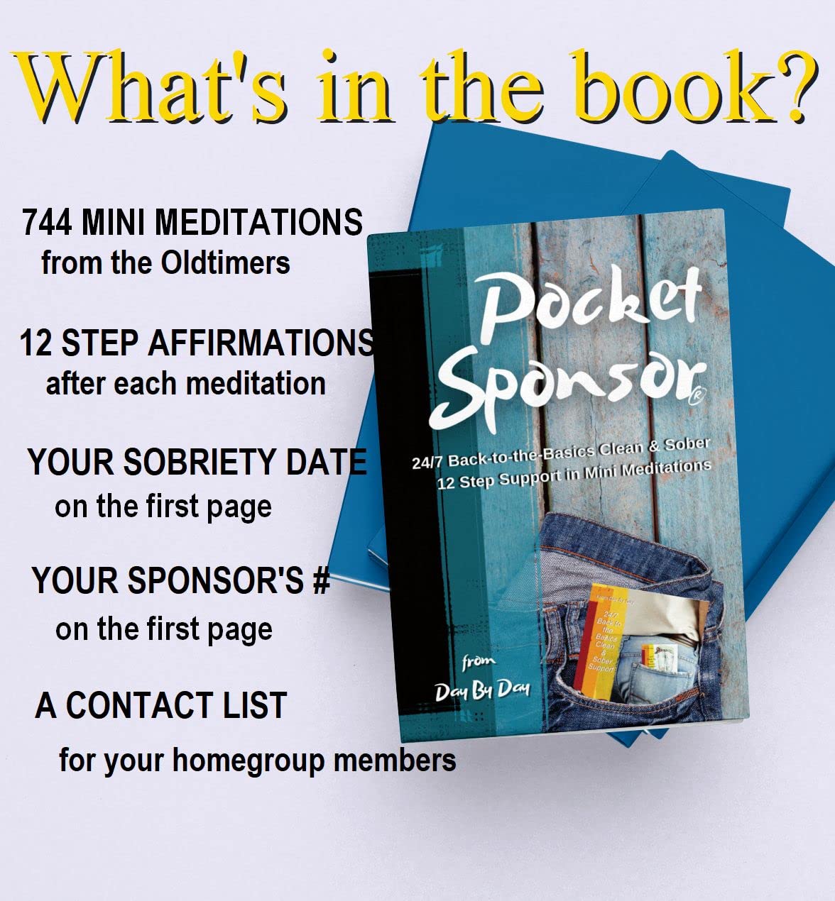 Pocket Sponsor: 24/7 12-Step Support in Mini Meditations for Alcoholism Recovery