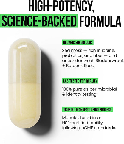 VitaRaw Cápsulas Orgánicas de Irish Sea Moss 2400 mg - con Raíz de Bardana y Fucus Vesiculosus - Suplemento Herbal Avanzado – Image 4