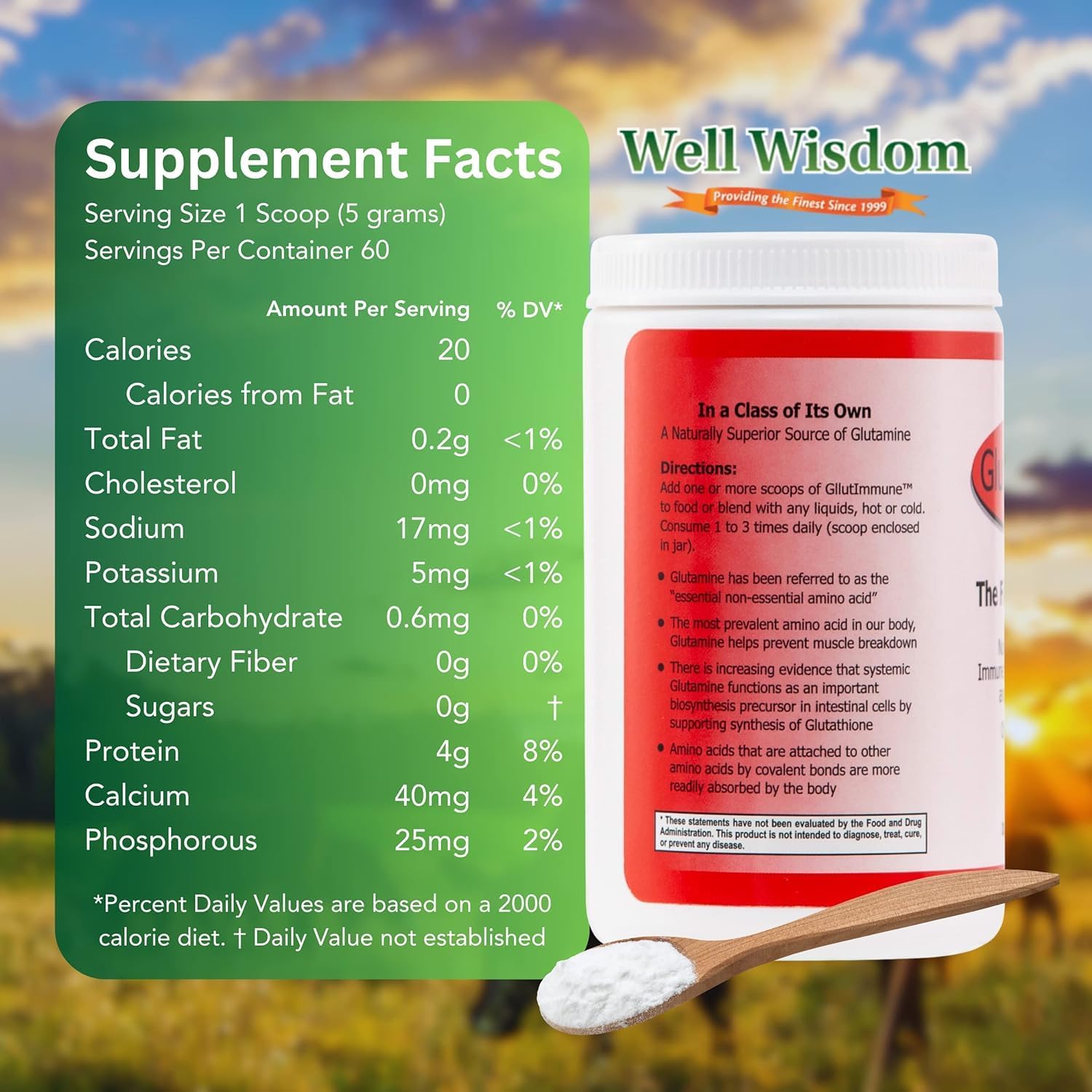 Glut Immune Polvo de Glutamina 300g - Well Wisdom