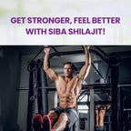 SIBA Ultra Pure Shilajit Gummies – Gominolas de Shilajit del Himalaya con Ácido Fúlvico (60 unidades)