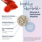Designs for Health Prenatal Pro - Prenatal Multivitamin with Methylfolate and Minerals (120 Capsules)