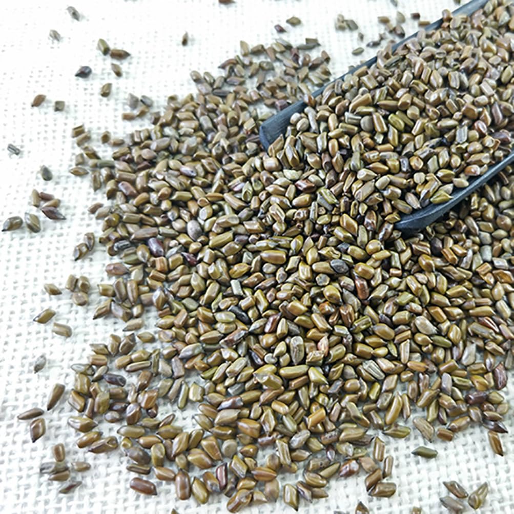 Semen Cassiae Jue Ming Zi (100g)
