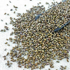 Semen Cassiae Jue Ming Zi (100g)