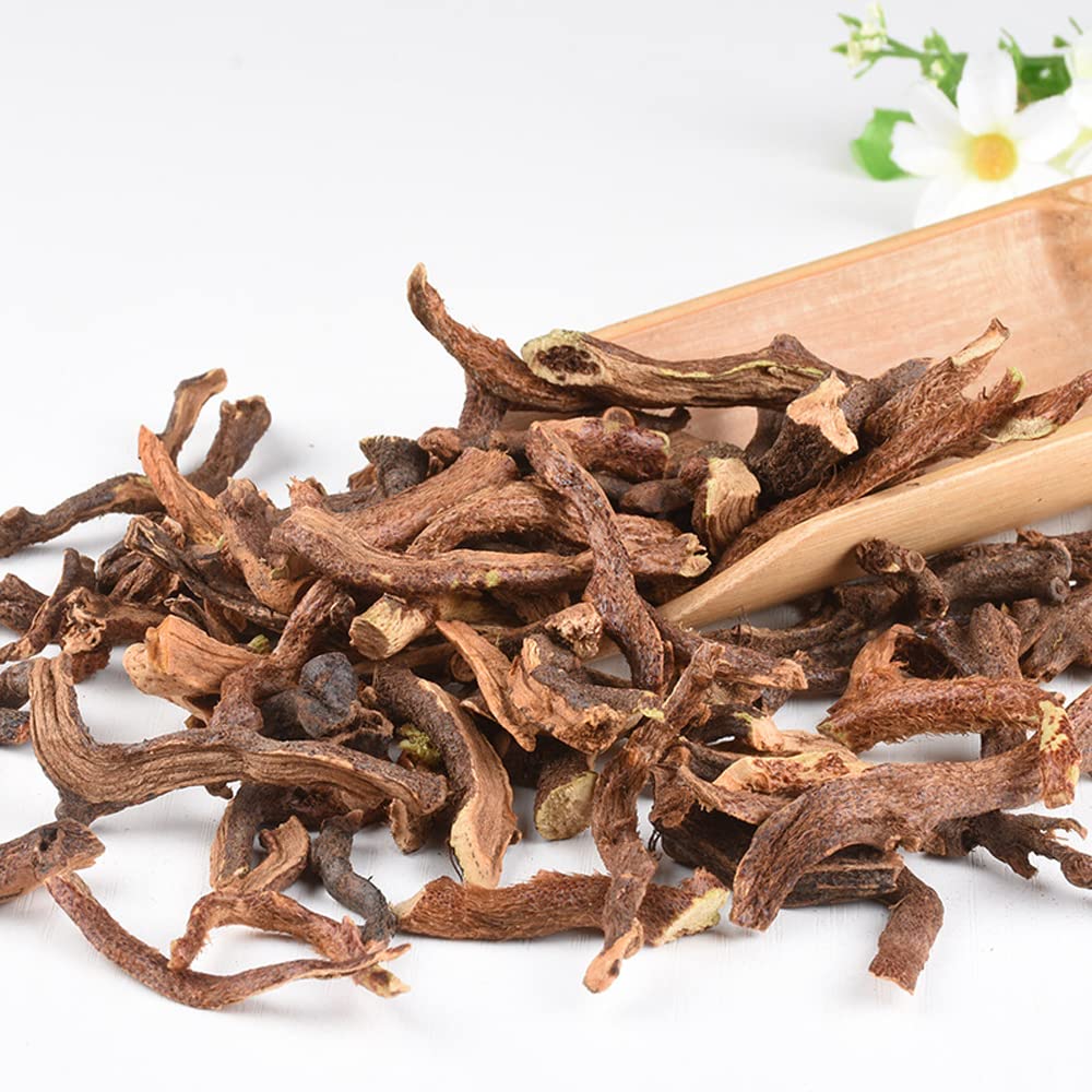Rizoma de Drynaria (Gusuibu) - 500g