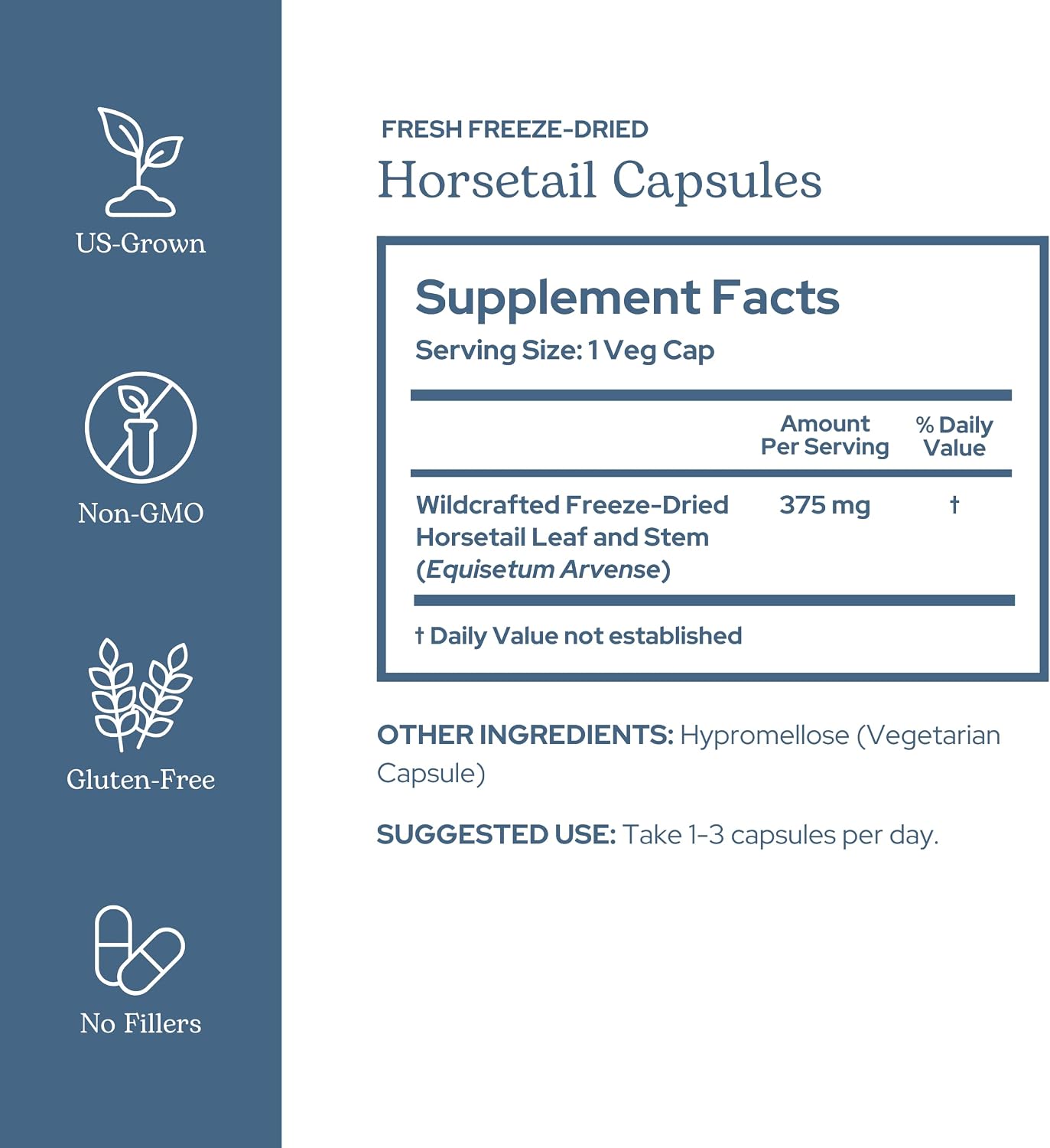 Eclectic Herb – Cápsulas de Cola de Caballo | Apoyo Mineral y Nutricional | 90 Cápsulas, 375 mg