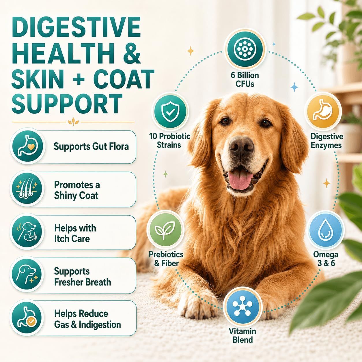 ZEBORA Probióticos para Perros y Gatos - 6 Mil Millones UFC con Enzimas Digestivas y Prebióticos - 120 Masticables