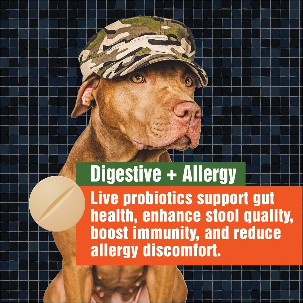 Probióticos para Perros - Alivio de Alergias y Picor - 3B UFC - 60 Masticables - Paws A Day
