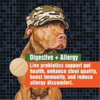 Probióticos para Perros - Alivio de Alergias y Picor - 3B UFC - 60 Masticables - Paws A Day