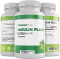 Cápsulas de Insulin Plant (Costus Igneus) - 360 Cápsulas Vegetales