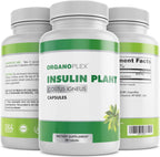 Cápsulas de Insulin Plant (Costus Igneus) - 360 Cápsulas Vegetales