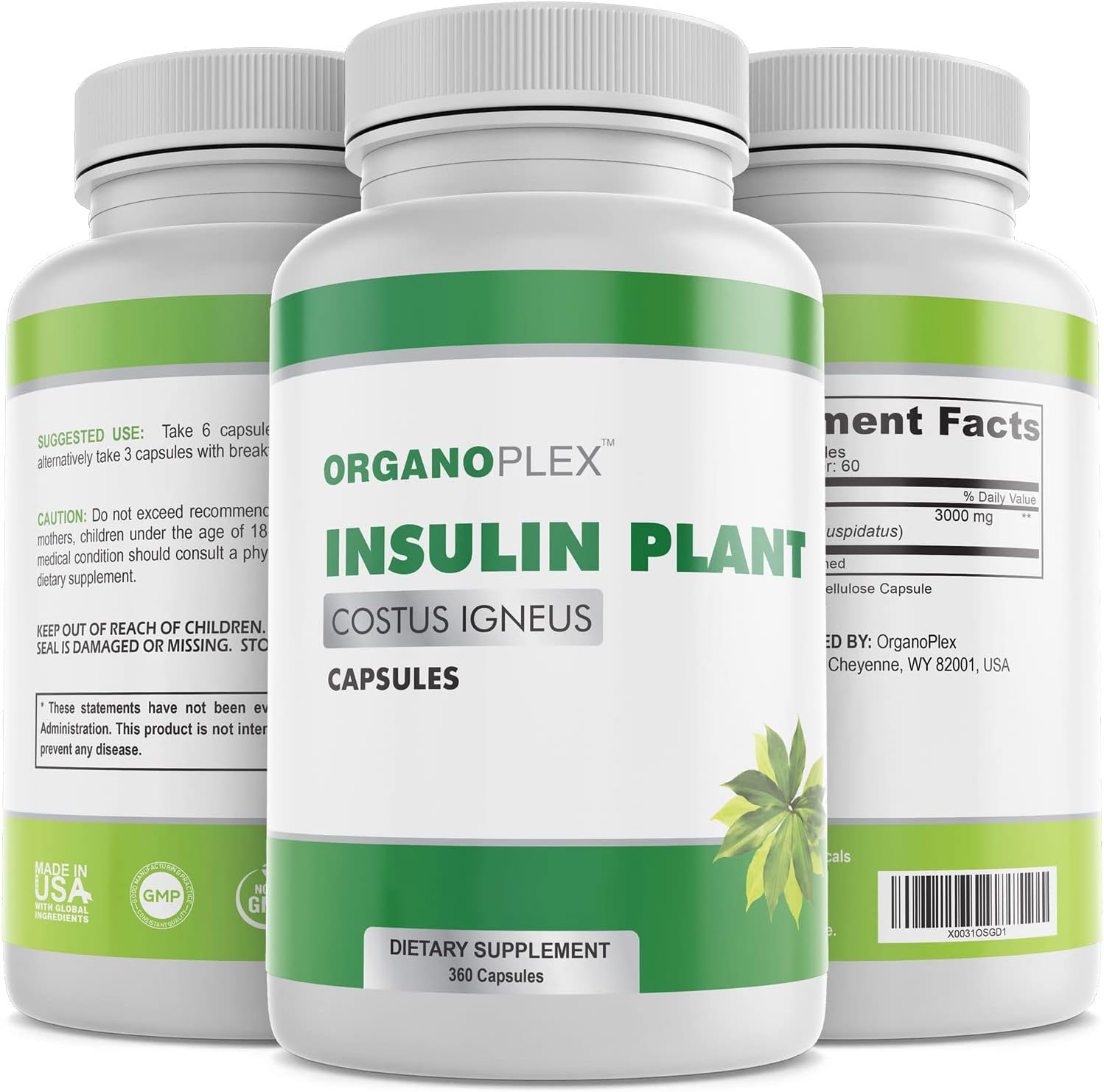 Cápsulas de Insulin Plant (Costus Igneus) - 360 Cápsulas Vegetales