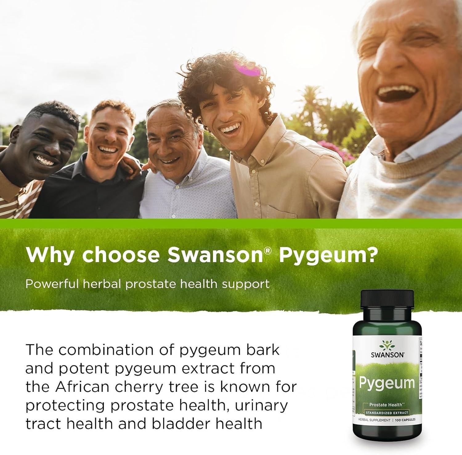 Hisopo (Hyssopus officinalis) 450 mg, 100 Cápsulas - Swanson