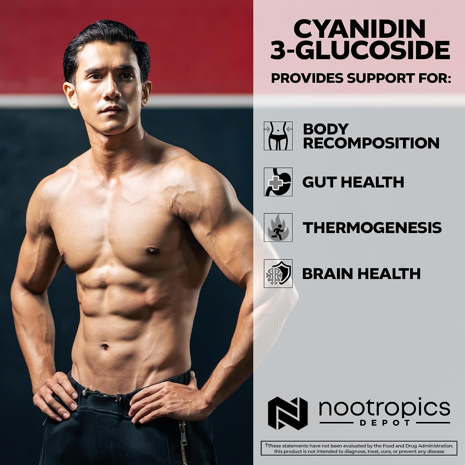 Nootropics Depot Cianidina 3-Glucósido 125mg | 180 Cápsulas | Extracto de Arroz Negro