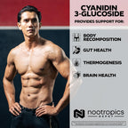 Nootropics Depot Cyanidin 3-Glucoside 125 mg Cápsulas (60 uds)