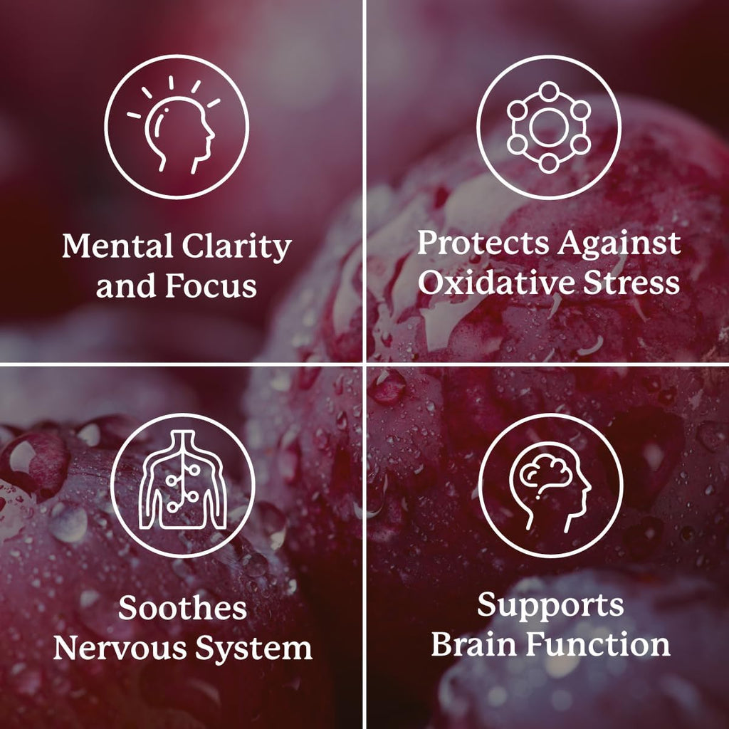 Nature's Sunshine Focus Attention - 90 Cápsulas - Apoyo Cognitivo y Circulación Cerebral