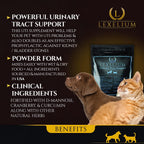 Lexelium Suplemento Orgánico para el Tracto Urinario de Perros y Gatos - con Arándano Rojo, D-Manosa y Cúrcuma - 200 g