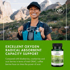 Swanson Full Spectrum Coffee Cherry - Apoyo Antioxidante - Protección Celular - Alto ORAC - Vegano - Sin Gluten - 60 Cápsulas (Paquete de 2)