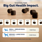 Vetnique Glandex Probióticos Masticables para Perros - 5 Cepas, Prebióticos y Enzimas Digestivas - Salud Intestinal e Inmunológica - 30 Masticables