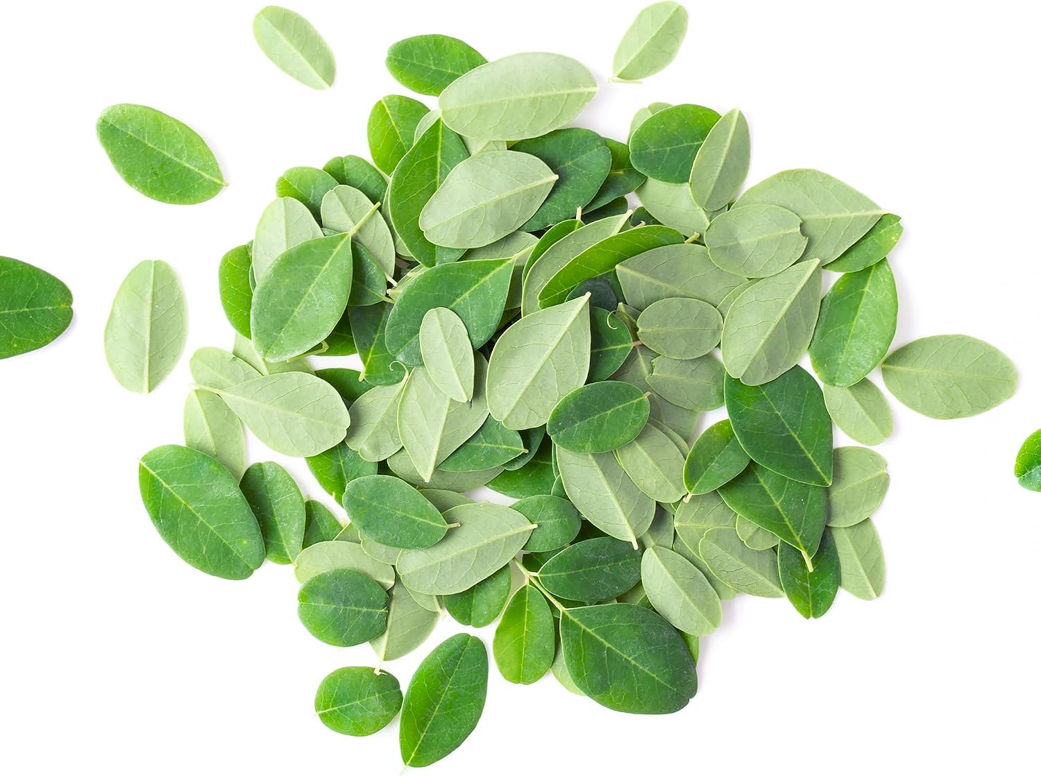PURE ORIGINAL INGREDIENTS Moringa (227g) Extracto de Hoja de Moringa Oleifera, Suplemento Natural